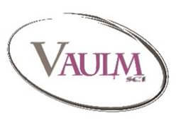 logo vaulm